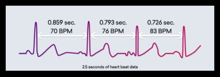 Heartbeat Harmony: Dengeli Bir Yaşam İçin Kardiyovasküler Egzersizler