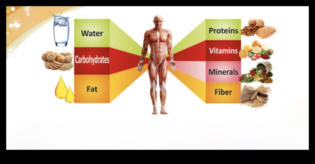 Protein ve Zihinsel Dayanıklılık: Zihin-Beden Bağlantısını Beslemek