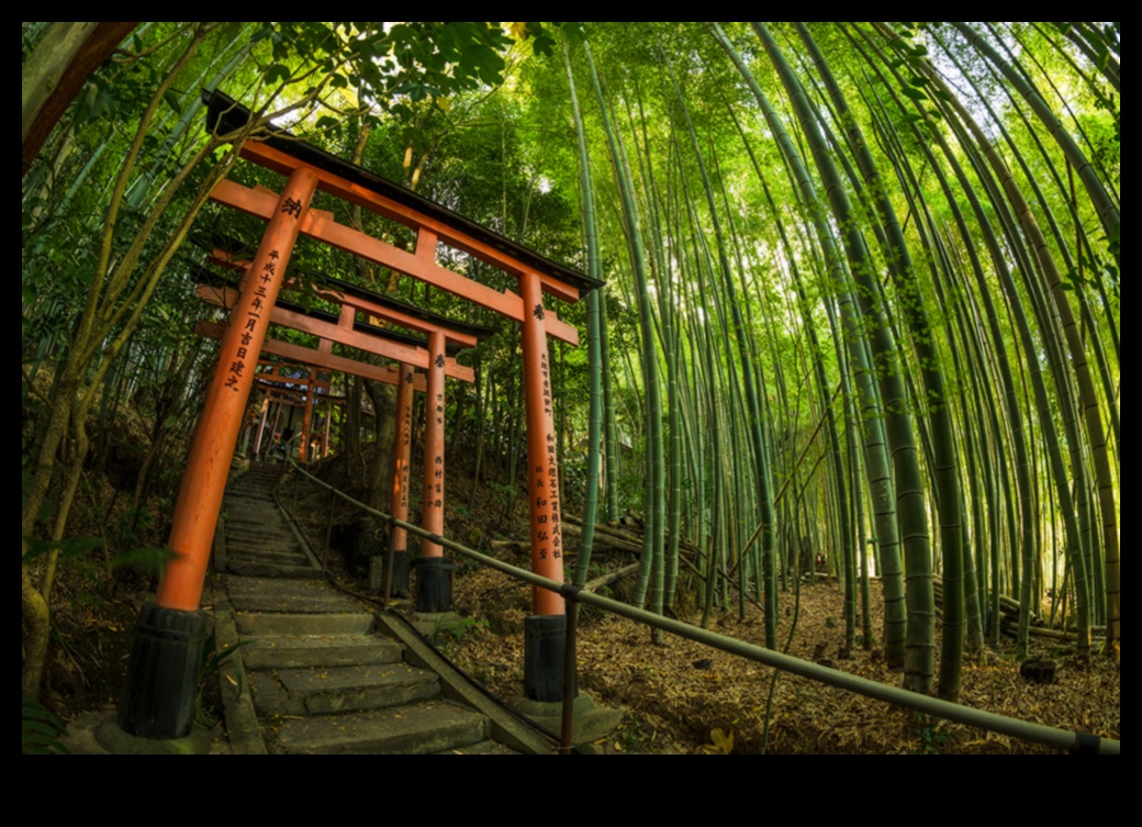 Bambu Esintileri: Japon Bahçeciliğinin Sırları